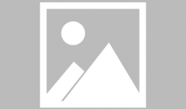 奥比岛最新宠物爆料图片,神秘生物引玩家热议