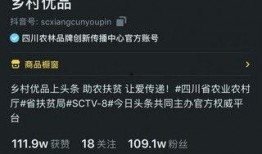 大山直播爆料最新消息,最新热点事件深度解析